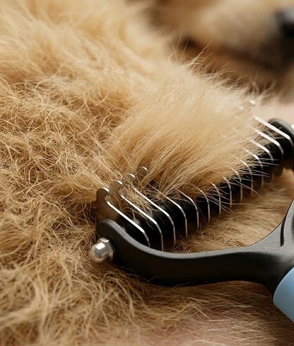 The Everyday Deshedding Brush